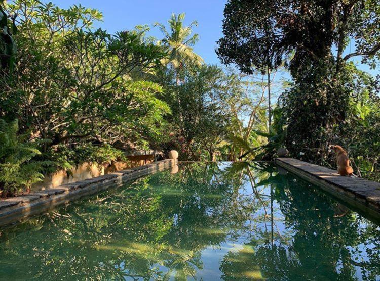 Bed and Breakfast Sri Yoga Shala Unawatuna Zewnętrze zdjęcie